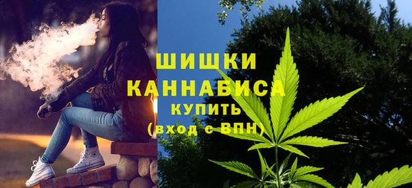 крисы Белоозёрский