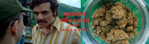 крисы Белоозёрский